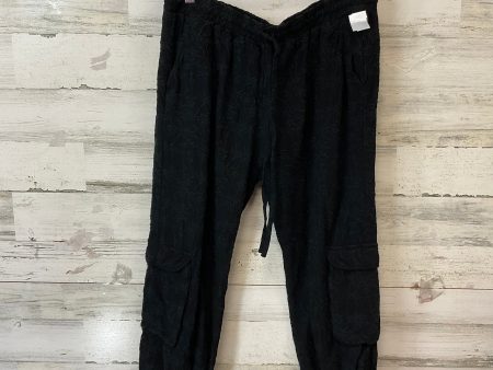 Pants Joggers By Johnny Was In Black, Size: M Online Sale